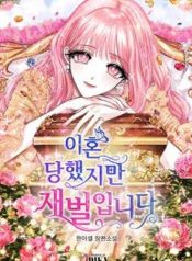 I’m Divorced, But I’m a Chaebol